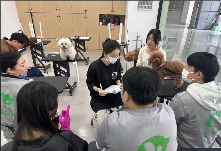忻州市宠物美容学习宠物美容培训学校 - 价格